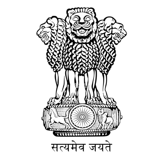 Director of Disaster Management